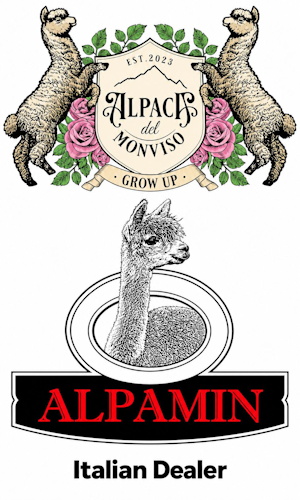 Banner AlpacaDelMonviso 150x250